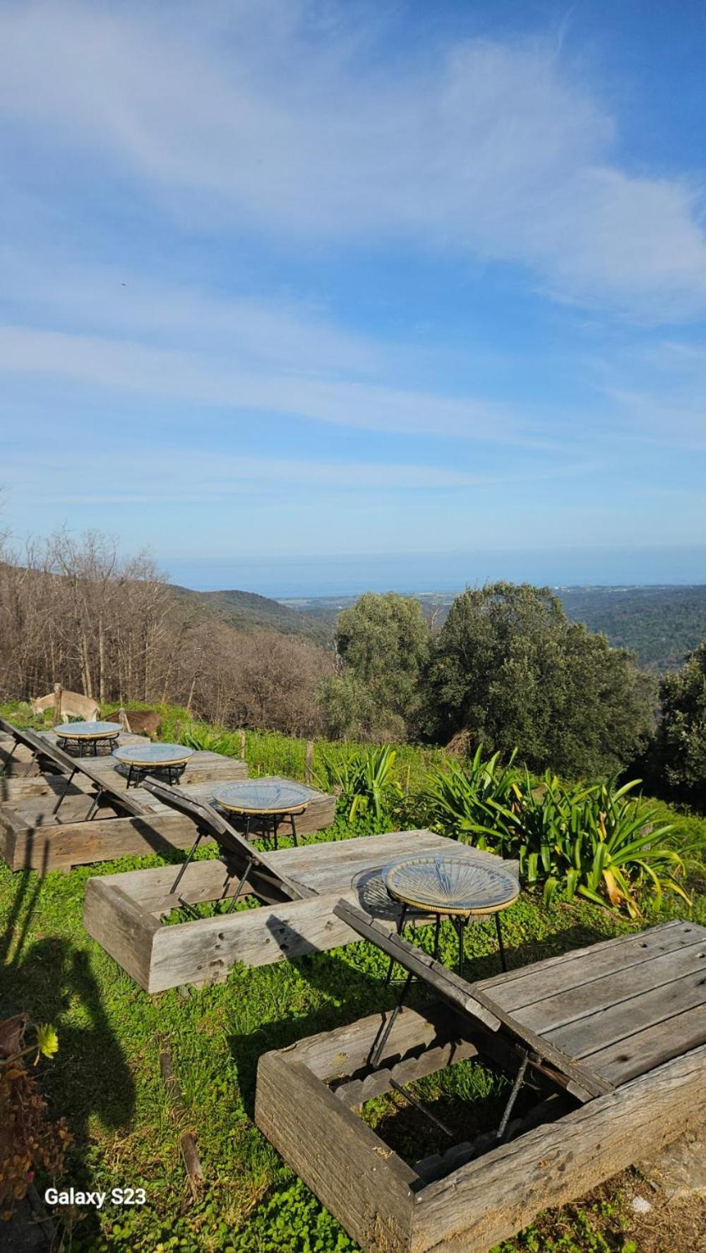 Domaine Colonna Santini ,Chambre D Hotes Piscine, Sauna, Spa Porri エクステリア 写真
